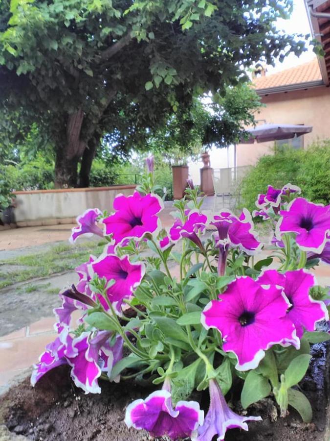 La Corte Di Bafe B&B "Slow Life" Zafferana Etnea Dış mekan fotoğraf